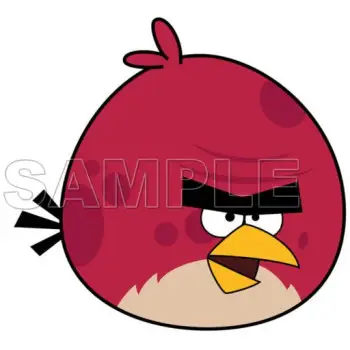 Angry Birds Big Brother Bird DTF Iron on Transfer  - Ready to Press  #6