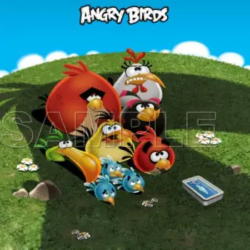 Angry Birds DTF Iron on Transfer  - Ready to Press  #3