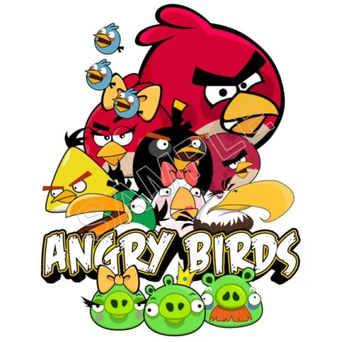 Angry Birds  DTF Iron on Transfer - Ready to Press #69