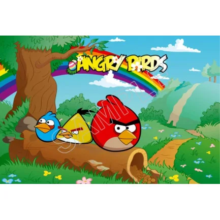 Angry Birds DTF Iron on Transfer - Ready to Press #78 Angry Birds DTF Iron on Transfer - Ready to Press #78