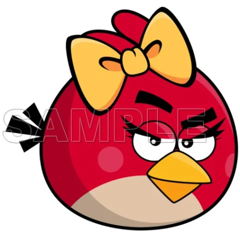 Angry Birds  DTF Iron on Transfer  - Ready to Press  #9