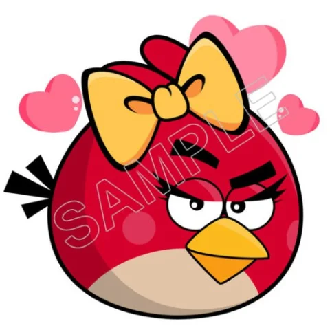 Angry Birds  DTF Iron on Transfer - Ready to Press #93