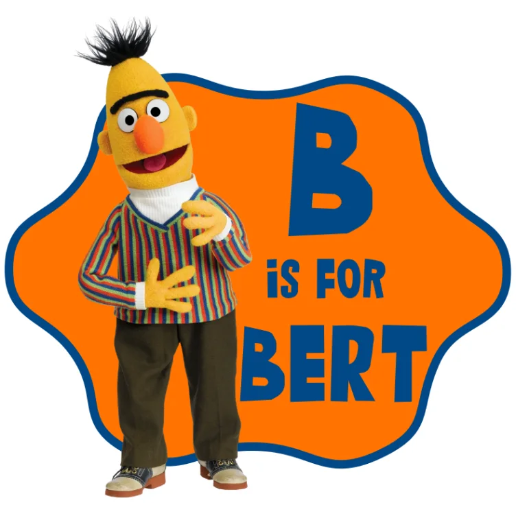 Bert Sesame Street DTF Iron on Transfer - Ready to Press Bert Sesame Street DTF Iron on Transfer - Ready to Press