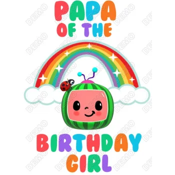 Cocomelon Rainbow Birthday  Personalized  Custom  DTF Iron on Transfer 