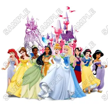 Disney Princess Castle DTF Iron on Transfer - Ready to Press #16