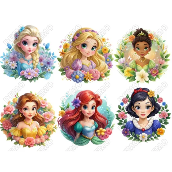Disney Princess DTF Iron on Transfer Disney Princess DTF Iron on Transfer