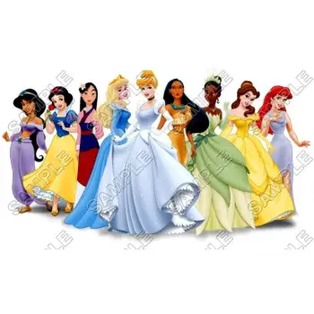 Disney Princess DTF Iron on Transfer - Ready to Press #15