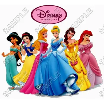 Disney Princess DTF Iron on Transfer - Ready to Press #17