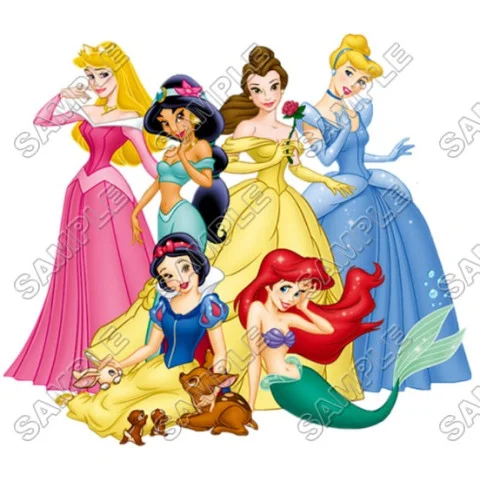 Disney Princess DTF Iron on Transfer - Ready to Press #18