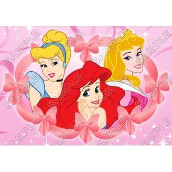 Disney Princess DTF Iron on Transfer - Ready to Press #24