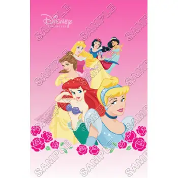 Disney Princess DTF Iron on Transfer - Ready to Press #26
