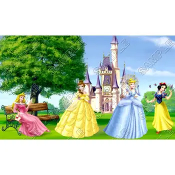 Disney Princess DTF Iron on Transfer - Ready to Press #27