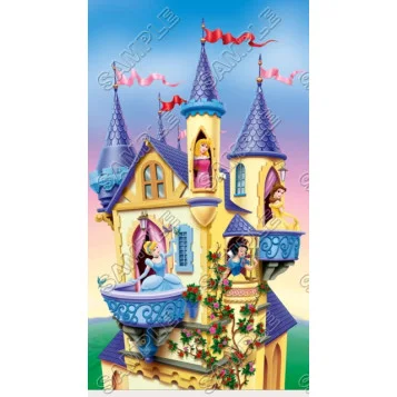 Disney Princess DTF Iron on Transfer - Ready to Press #28