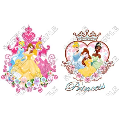 Disney Princess DTF Iron on Transfer - Ready to Press #33