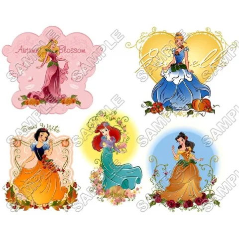 Disney Princess DTF Iron on Transfer - Ready to Press #34