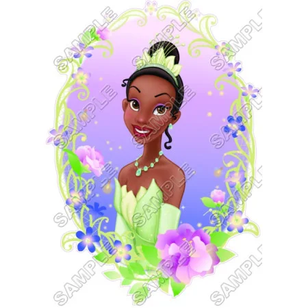 Disney Princess Tiana  DTF Iron on Transfer - Ready to Press #8