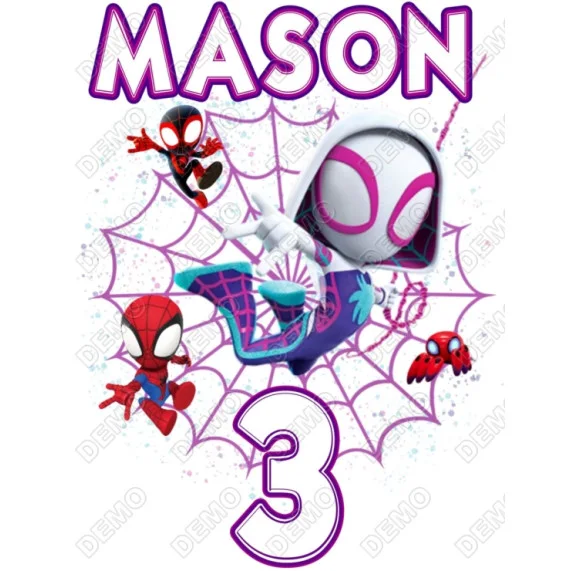 Ghost Spidey and His Amazing Friends Birthday DTF Iron on Transfer Ghost Spidey and His Amazing Friends Birthday DTF Iron on Transfer