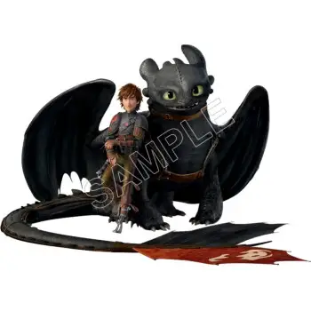 How to Train  Your  Dragon  DTF Iron on Transfer - Ready to Press #5