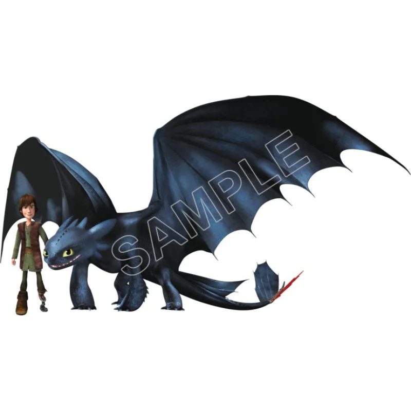 How to Train Your Dragon DTF Iron on Transfer - Ready to Press #6 How to Train Your Dragon DTF Iron on Transfer - Ready to Press #6