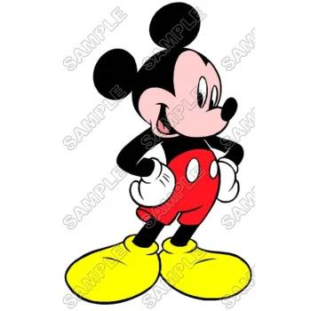 Mickey Mouse DTF Iron on Transfer - Ready to Press #12