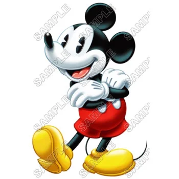 Mickey Mouse DTF Iron on Transfer - Ready to Press #17
