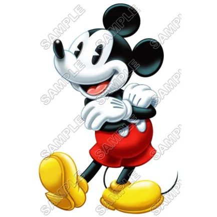 Mickey Mouse DTF Iron on Transfer - Ready to Press #17