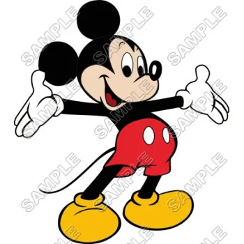 Mickey Mouse DTF Iron on Transfer - Ready to Press #19