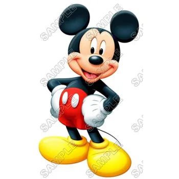 Mickey Mouse DTF Iron on Transfer - Ready to Press #20
