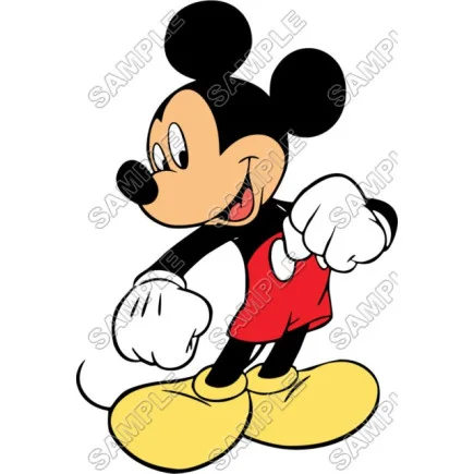 Mickey Mouse DTF Iron on Transfer - Ready to Press #21