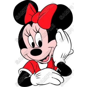 Minnie Mouse  DTF Iron on Transfer  - Ready to Press #21