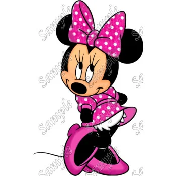 Minnie Mouse Pink Dress  DTF Iron on Transfer - Ready to Press #5