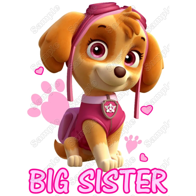 PAW Patrol Sky Big Sister DTF Iron on Transfer - Ready to Press PAW Patrol Sky Big Sister DTF Iron on Transfer - Ready to Press