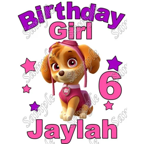Paw Patrol Birthday Girl Personalized Custom DTF Iron on Transfer - Ready to Press #3 Paw Patrol Birthday Girl Personalized Custom DTF Iron on Transfer - Ready to Press #3