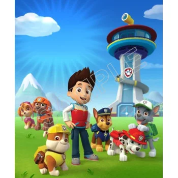 Paw Patrol DTF Iron on Transfer  - Ready to Press  #74