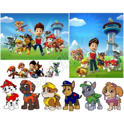 Paw Patrol DTF Iron on Transfer  - Ready to Press  #79