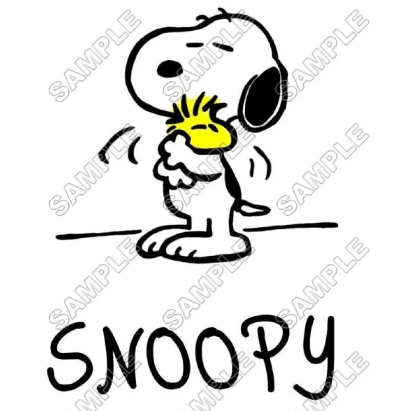 Peanuts, Snoopy, Charlie Brown DTF Iron on Transfer - Ready to Press #10 Peanuts, Snoopy, Charlie Brown DTF Iron on Transfer - Ready to Press #10