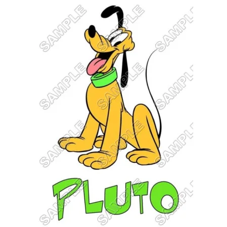 Pluto DTF Iron on Transfer - Ready to Press #2