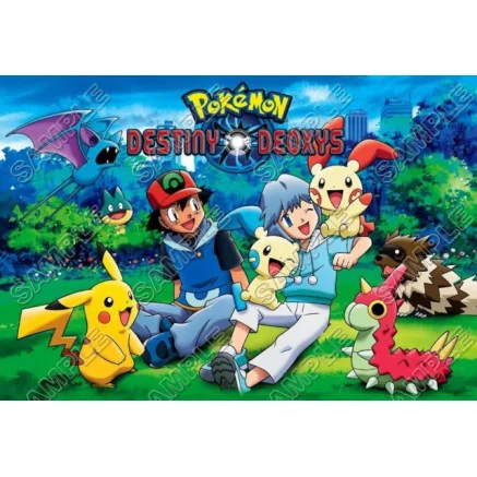 Pokemon  DTF Iron on Transfer  - Ready to Press #26