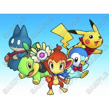 Pokemon  DTF Iron on Transfer  - Ready to Press #29