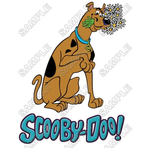 Scooby-Doo DTF Iron on Transfer - Ready to Press #6