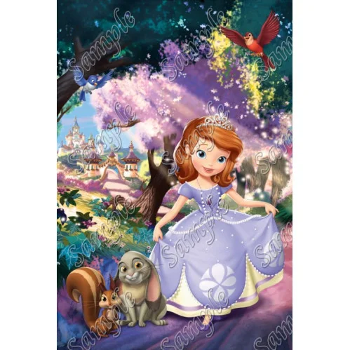 Sofia the First Princess  DTF Iron on Transfer  - Ready to Press  #8