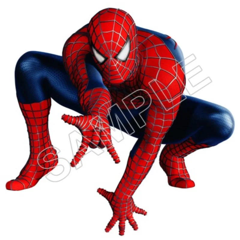 Spider Man DTF Iron on Transfer - Ready to Press #10 Spider Man DTF Iron on Transfer - Ready to Press #10