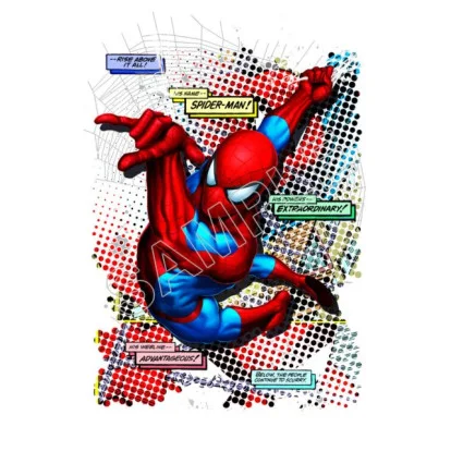 Spider - Man DTF Iron on Transfer - Ready to Press #8