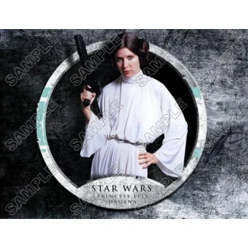 Star Wars Princess Leia DTF Iron on Transfer - Ready to Press #23
