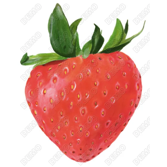 Strawberry DTF Heat Iron on Transfer  - Ready to Press