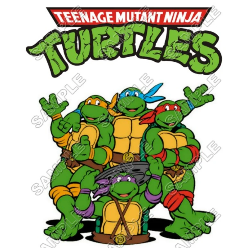 Teenage Mutant Ninja Turtles DTF Iron on Transfer - Ready to Press #6