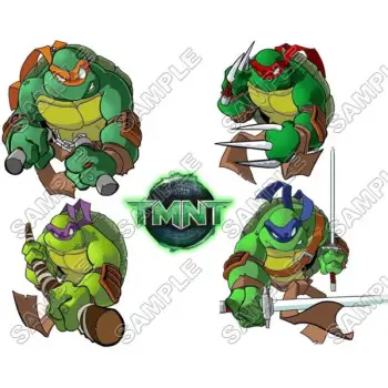 Teenage Mutant Ninja Turtles DTF Iron on Transfer - Ready to Press #8