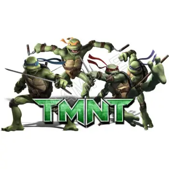 Teenage Mutant Ninja Turtles TMNT  DTF Iron on Transfer  - Ready to Press  #11