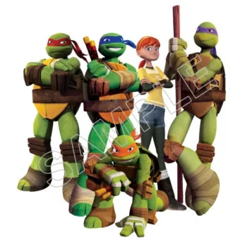 Teenage Mutant Ninja Turtles TMNT  DTF Iron on Transfer  - Ready to Press  #64