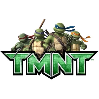 Teenage Mutant Ninja Turtles TMNT  DTF Iron on Transfer  - Ready to Press  #8